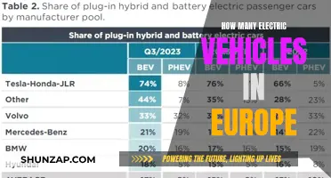 Europe's Electric Revolution: Counting the Green Cars on the Road