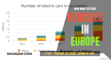 Electric Vehicles in Europe: Counting the Green Revolution