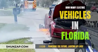 Electric Vehicle Revolution: Counting Florida's Green Machines