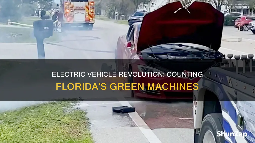 how many electric vehicles in florida