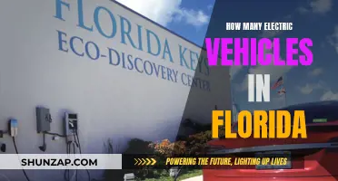 Florida's Electric Vehicle Revolution: Counting the Change