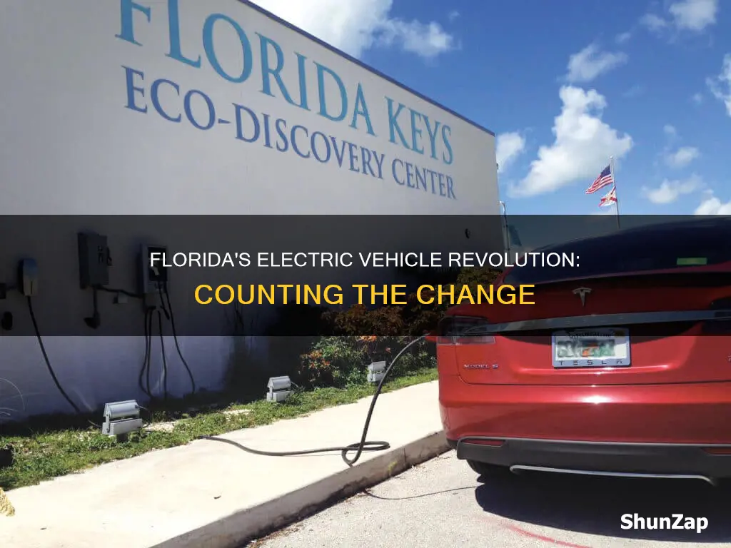 how many electric vehicles in florida