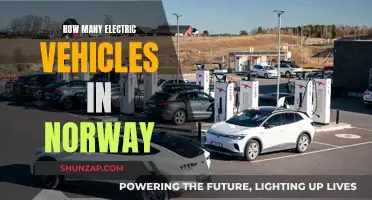 Norway's Electric Revolution: A Country's Love for EVs