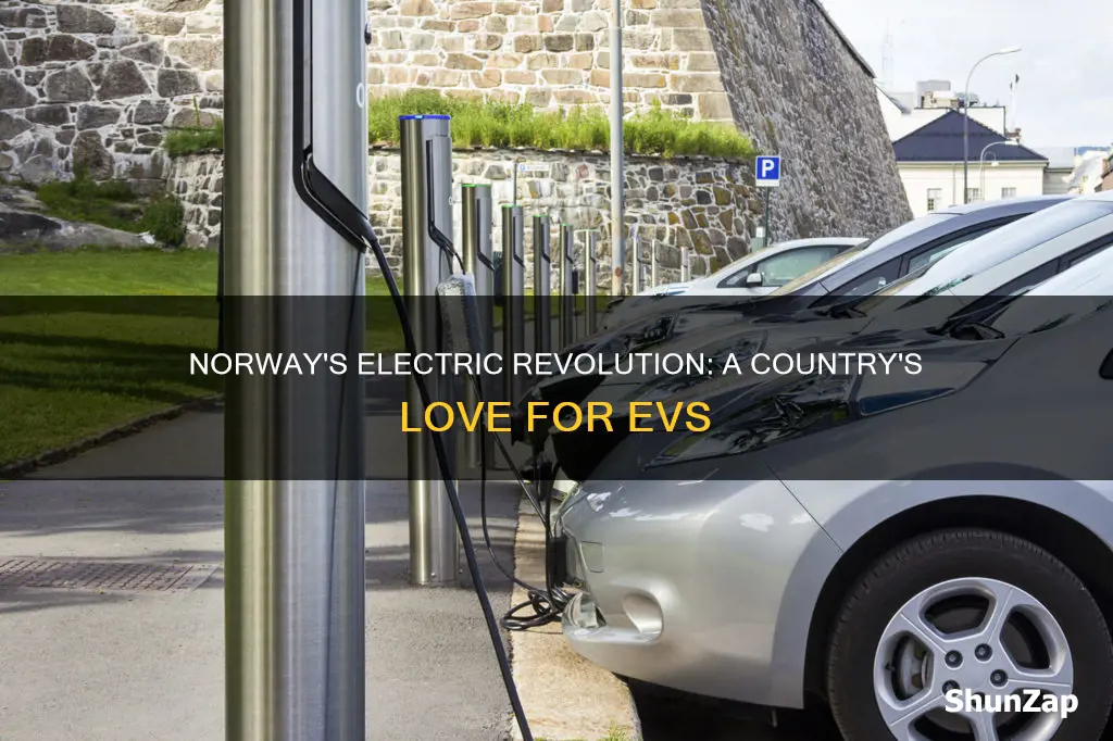 how many electric vehicles in norway