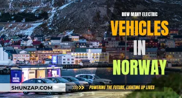 Electric Revolution: Norway's EV Adoption Story