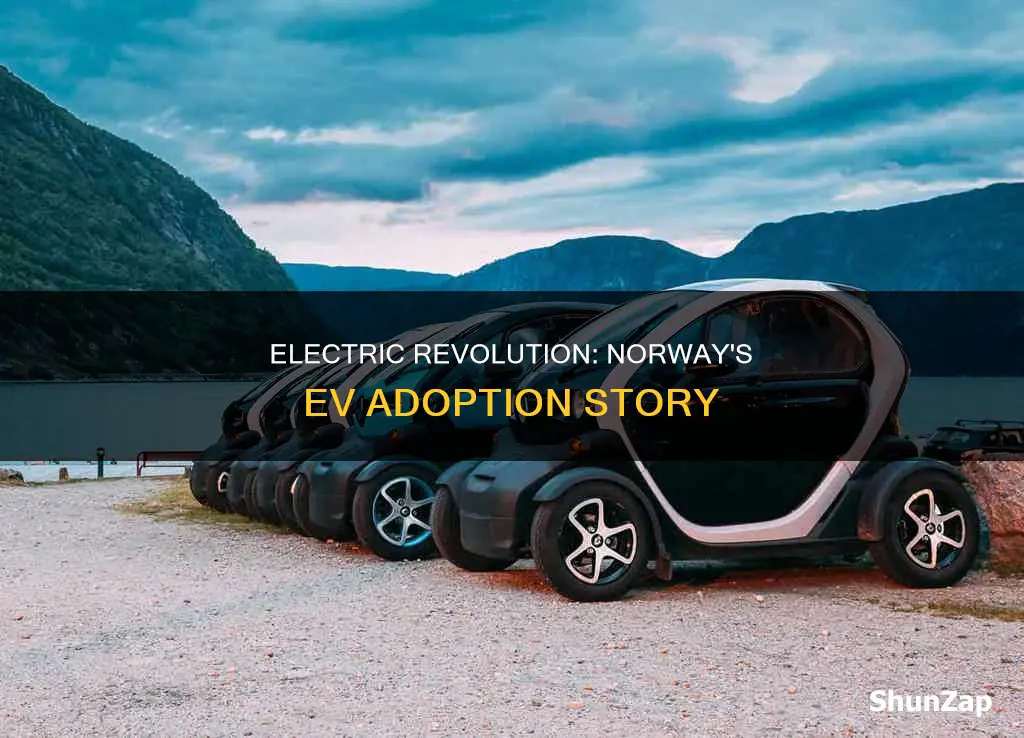 how many electric vehicles in norway