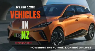 Electric Revolution: Unlocking New Zealand's EV Potential