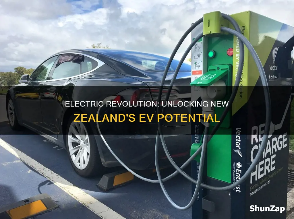 how many electric vehicles in nz