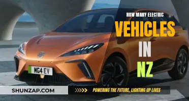Electric Vehicles in New Zealand: Current Numbers and Future Prospects