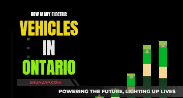 Electric Revolution: Counting Ontario's EV Fleet