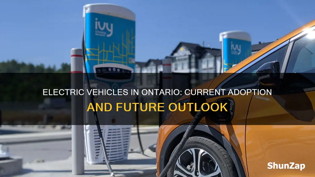 how many electric vehicles in ontario