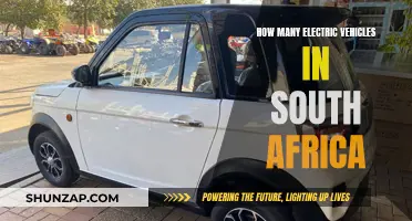 South Africa's Electric Vehicle Revolution: A Growing Trend