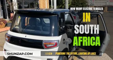 Electric Vehicles in South Africa: Current Adoption and Future