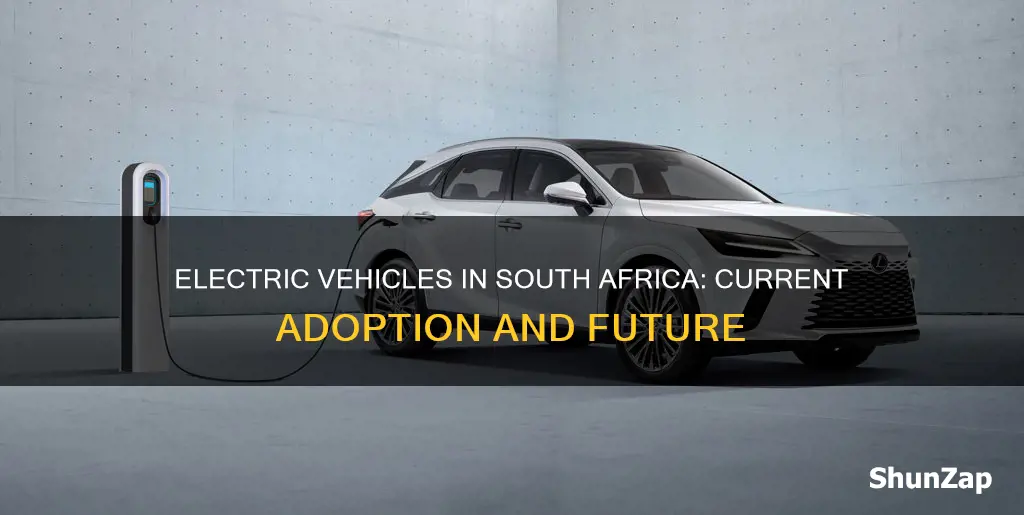 how many electric vehicles in south africa