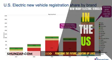 The Electric Revolution: US EV Adoption Insights