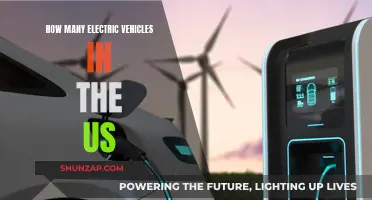 Electric Vehicles in the US: Counting the Revolution
