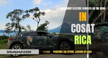 Costa Rica's Electric Revolution: Counting the Green Cars on the Road