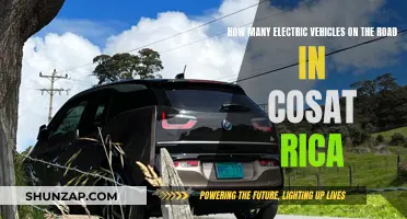 Electric Vehicles in Costa Rica: On the Rise