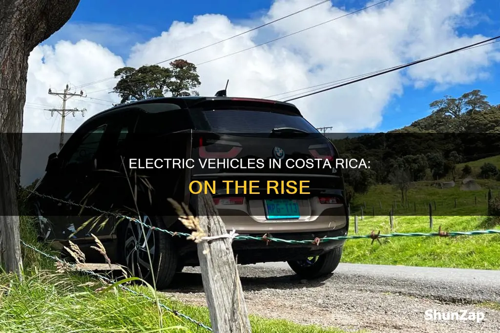 how many electric vehicles on the road in cosat rica