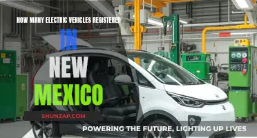 New Mexico's Electric Vehicle Revolution: A Growing Trend