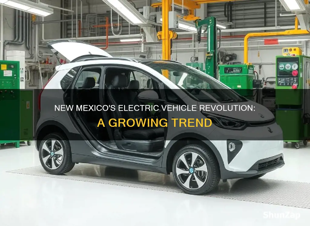 how many electric vehicles registered in new mexico