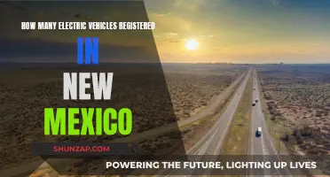Electric Vehicle Revolution: New Mexico's Registration Numbers Revealed