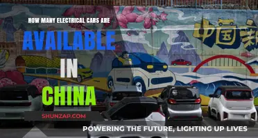 Exploring China's Growing Electric Vehicle Market: Available Models and Options