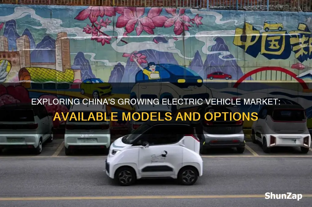 how many electrical cars are available in china