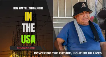 Electrical Grids in the USA: A Complex Network of Power