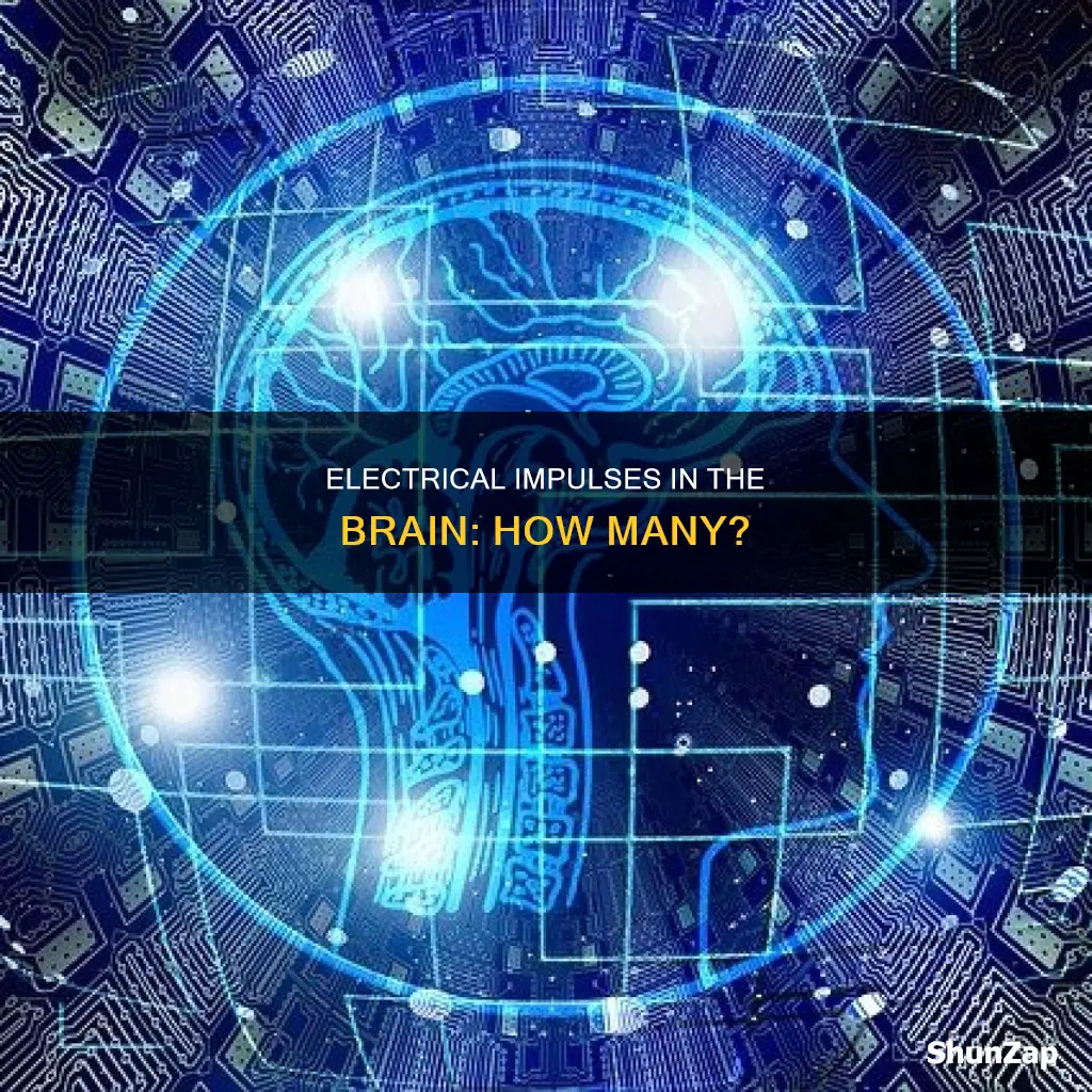 how many electrical impulses in the brain