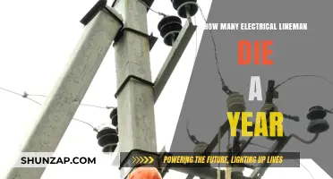 Electrical Lineman Fatalities: A Yearly Tragedy