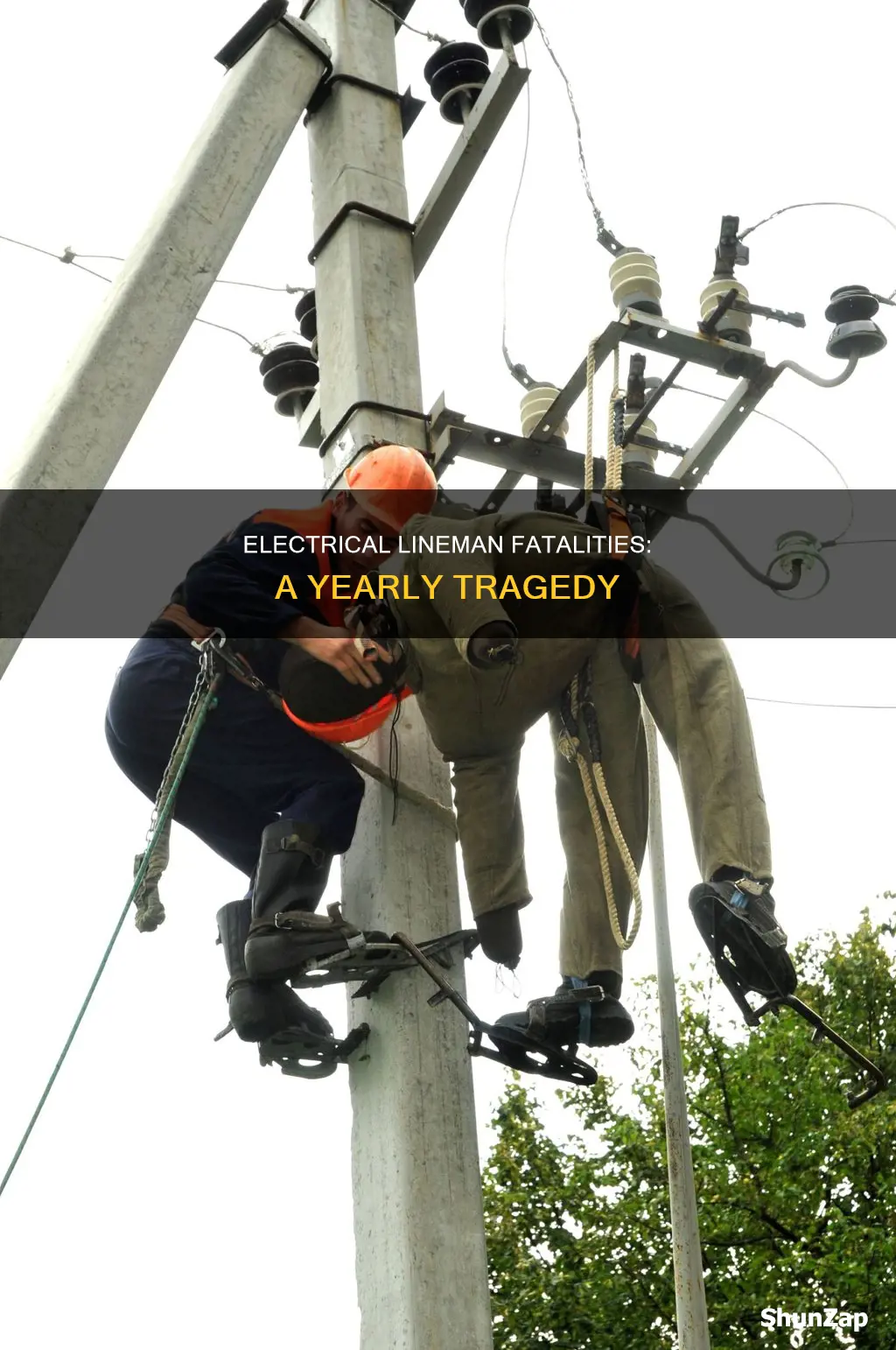 how many electrical lineman die a year