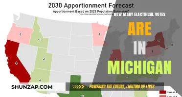 Michigan's Electoral Votes: What's the Count?