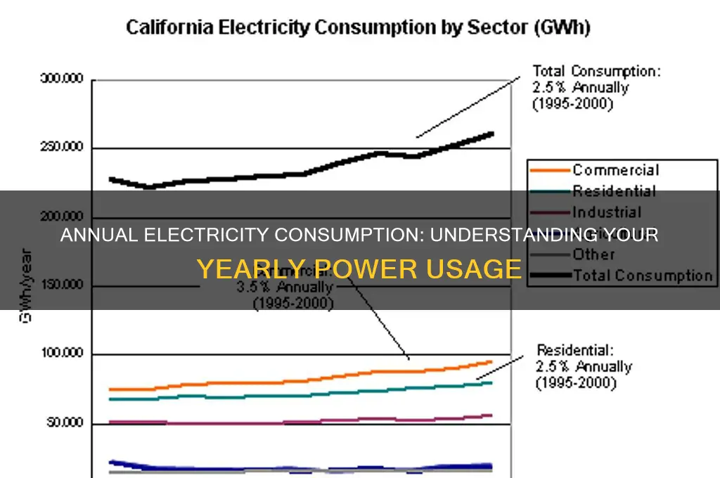 how many electricity are used in a year