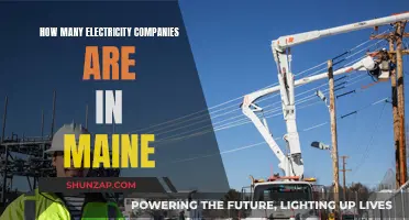 Electricity Companies in Maine: How Many Are There?