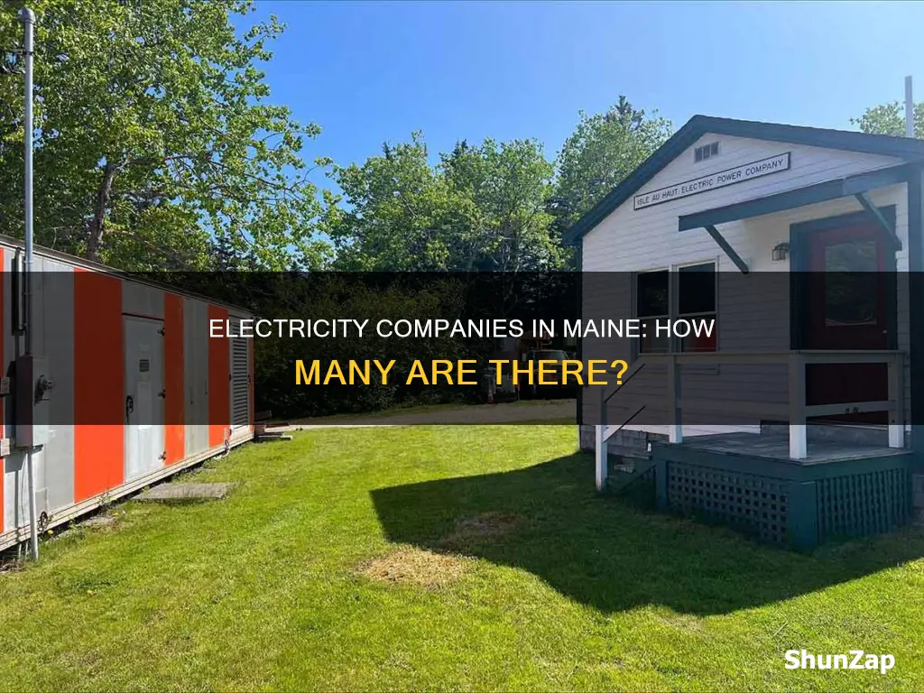 how many electricity companies are in maine