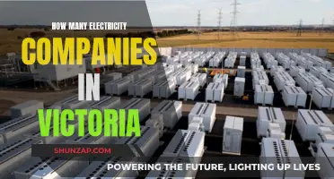 Victoria's Competitive Electricity Market: How Many Players?