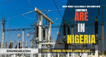 Electricity Distribution Companies: Nigeria's Current State