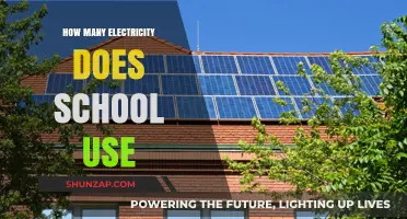 Uncovering Schools' Electricity Consumption: Usage, Costs, and Energy-Saving Tips