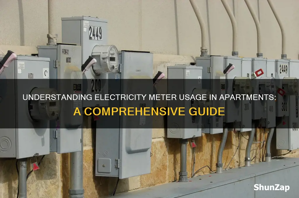 how many electricity meters does an apartment use