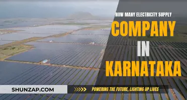 Karnataka's Electricity Supply: A Competitive Market Overview