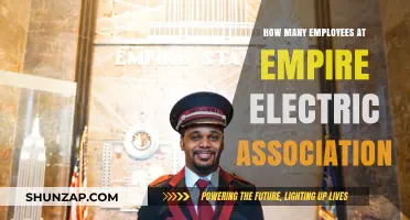 Empire Electric: A Close-Knit Team of Experts