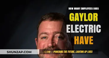 Gaylor Electric: A Team of Talented Professionals