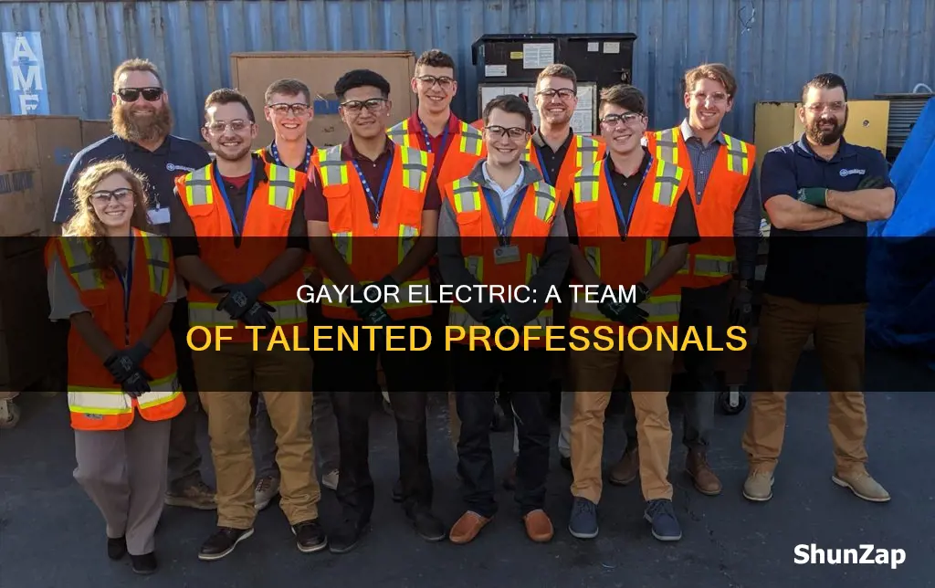 how many employees does gaylor electric have