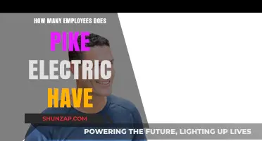 Electricians at Pike: A Large Team of Professionals