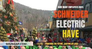 Schneider Electric's Global Workforce: A Comprehensive Overview