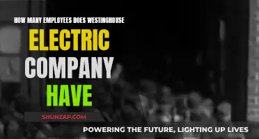Westinghouse Electric Company: A Large Global Workforce