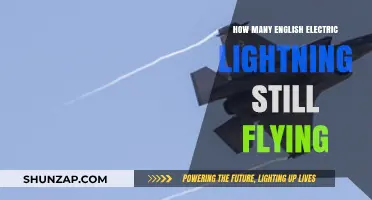 The English Electric Lightning: How Many Still Soar?