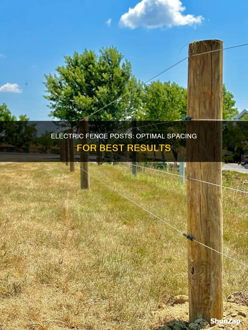 how many feet between electric fence posts
