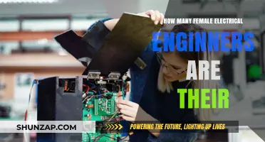 Electrical Engineering: Where are the Women?